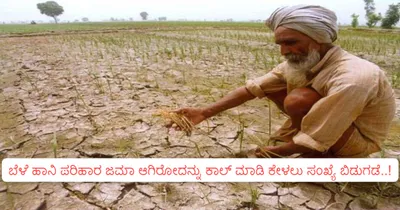 ಬೆಳೆ ಹಾನಿ ಪರಿಹಾರ ಜಮಾ ಆಗಿರೋದನ್ನು ಕಾಲ್ ಮಾಡಿ ಕೇಳಲು ಸಂಖ್ಯೆ ಬಿಡುಗಡೆ   