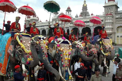 ನಾಡಹಬ್ಬ ದಸರಾಗೆ ಅರಣ್ಯ ಇಲಾಖೆಯಿಂದ ಸಿದ್ಧತೆ ಆರಂಭ