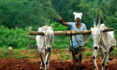 ರೈತರಿಗೆ ಮುಖ್ಯ ಮಾಹಿತಿ  ಕಿಸಾನ್ ಕ್ರೆಡಿಟ್ ಕಾರ್ಡ   ಅರ್ಜಿ ಆಹ್ವಾನ