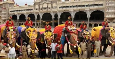 ಮೈಸೂರು ದಸರಾ ಗಜಪಡೆಗೆ 1 ಕೋಟಿ ರೂ ಗೂ ಅಧಿಕ ಮೊತ್ತದ ವಿಮೆ ಸೌಲಭ್ಯ