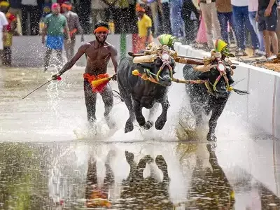 ಬೆಂಗಳೂರು  ರಾಜ   ಮಹಾರಾಜ  ಜೋಡುಕರೆ ಕಂಬಳ ಕೂಟದ ಫಲಿತಾoಶ