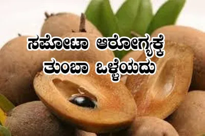 ಸಪೋಟ ಹಣ್ಣಿನ ಆರೋಗ್ಯ ಪ್ರಯೋಜನ   