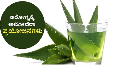 ಅಲೋವೆರಾದ ಹಲವಾರು ಲಾಭಗಳು