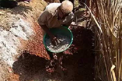 ಅಡಿಕೆ ಸಿಪ್ಪೆಯಿಂದ ಕಾಂಪೋಸ್ಟ್ ತಯಾರಿಕೆ ತರಬೇತಿ   