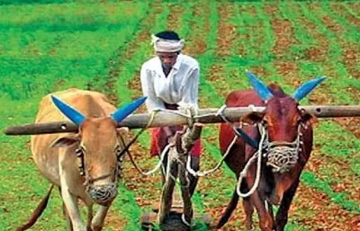 ರೈತ ಉತ್ಪಾದಕ ಸಂಸ್ಥೆಗಳಿಗೆ ಶೇ 4 ರಷ್ಟು ಬಡ್ಡಿ ಸಹಾಯಧನ 