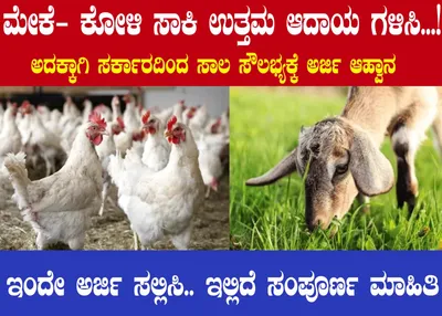 ಸರ್ಕಾರದಿಂದ ಕೋಳಿ ಮತ್ತು ಮೇಕೆ ಸಾಕಾಣಿಕೆಗೆ ಸಾಲ ಸೌಲಭ್ಯಕ್ಕೆ ಅರ್ಜಿ ಆಹ್ವಾನ